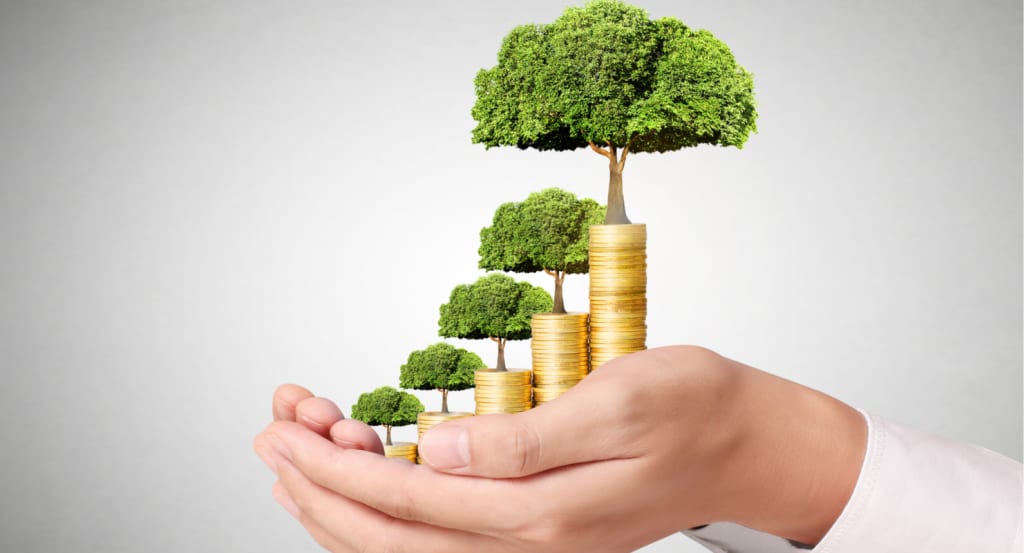 Investment Opportunities