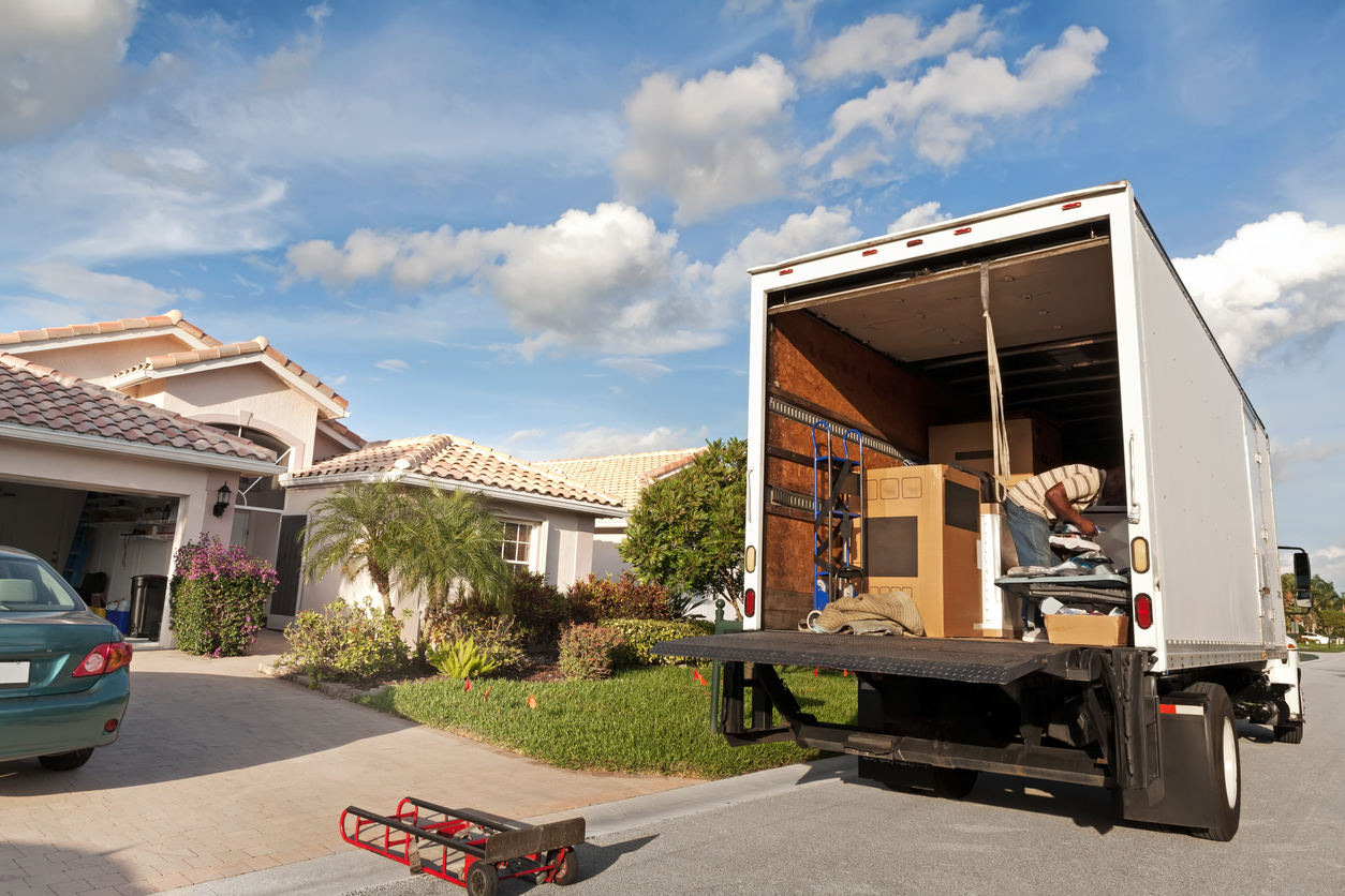 Real Appliance Delivery Man