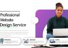 Professional Web Design Services