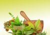 Embracing Holistic Wellness: A Journey with Back to Roots Ayurveda