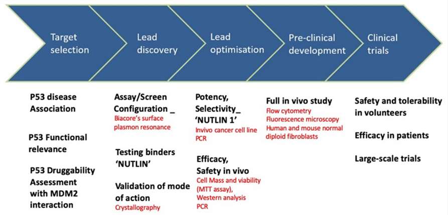 Biophysics-Service-in-Drug-Discovery-2