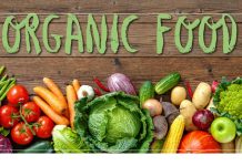 Europe Organic Food Market Size, Share, Sales Analysis, Forecast 2024-2032