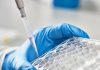 Ace Therapeutics Expands Parasitology Research Capabilities by Introducing Parasite Testing Platform
